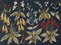 Finished Needlepoint by Bucherie.com